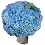 Букет из 51 синей гортензии