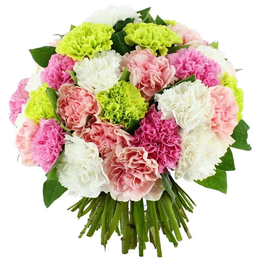 Гвоздика микс